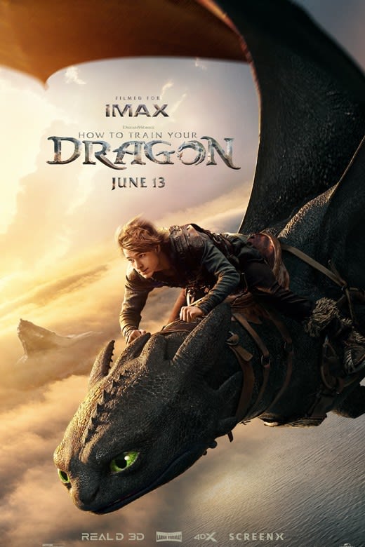 How to Train Your Dragon Poster